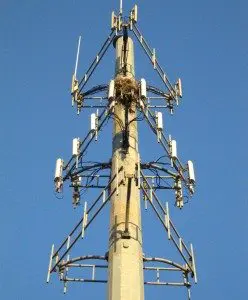 rooftop-cell-tower